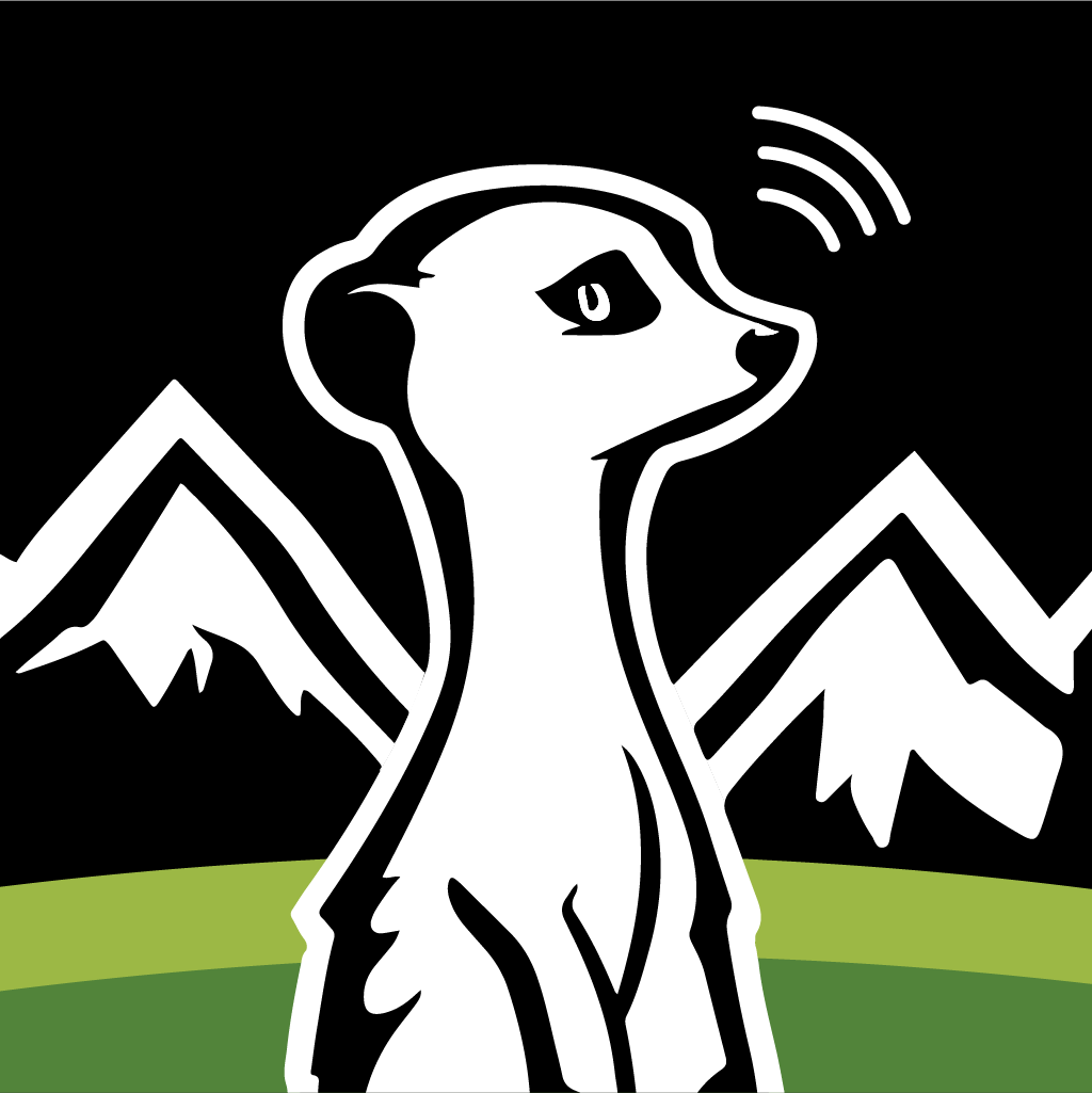 Timon Logo